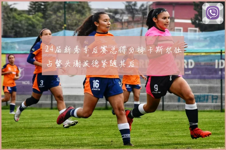 24届新秀季后赛总得分榜卡斯尔独占鳌头谢泼德紧随其后